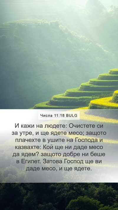 Числа 11:18 BULG Bible Verse Image