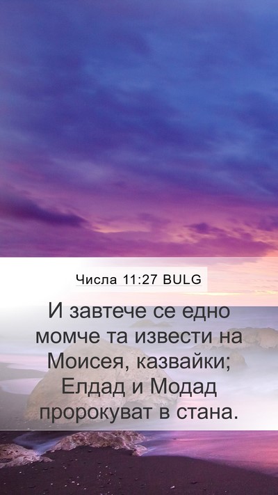 Числа 11:27 BULG Bible Verse Image