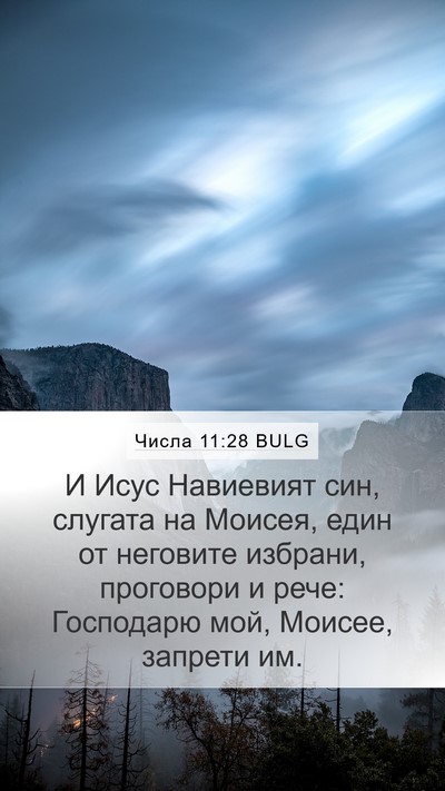 Числа 11:28 BULG Bible Verse Image