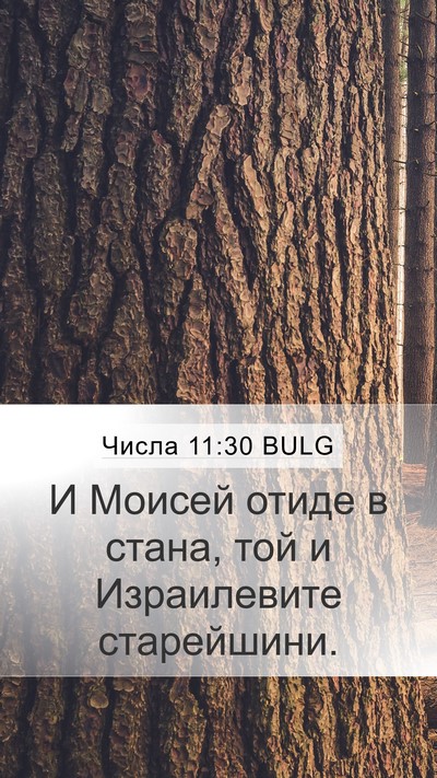 Числа 11:30 BULG Mobile Phone Wallpaper - И Моисей отиде в стана, той - Mobile Bible Verse Wallpaper