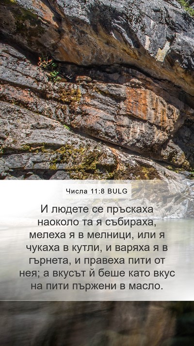 Числа 11:8 BULG Bible Verse Image