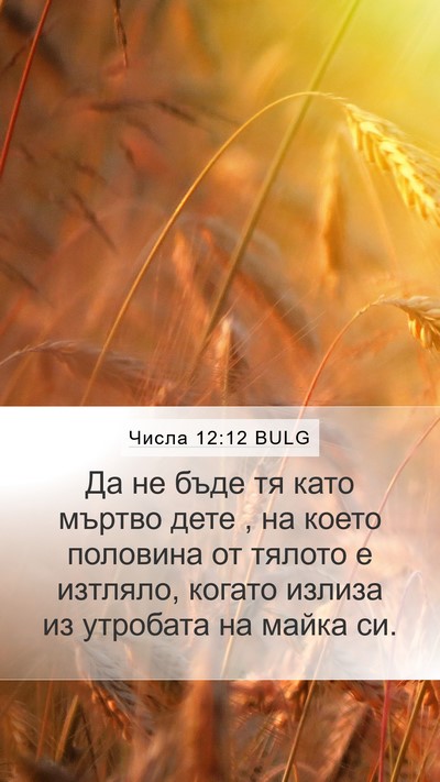 Числа 12:12 BULG Mobile Phone Wallpaper - Да не бъде тя като мъртво - Mobile Bible Verse Wallpaper