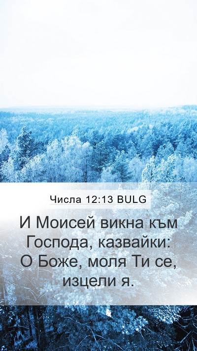 Числа 12:13 BULG Mobile Phone Wallpaper - И Моисей викна към Господа, - Mobile Bible Verse Wallpaper