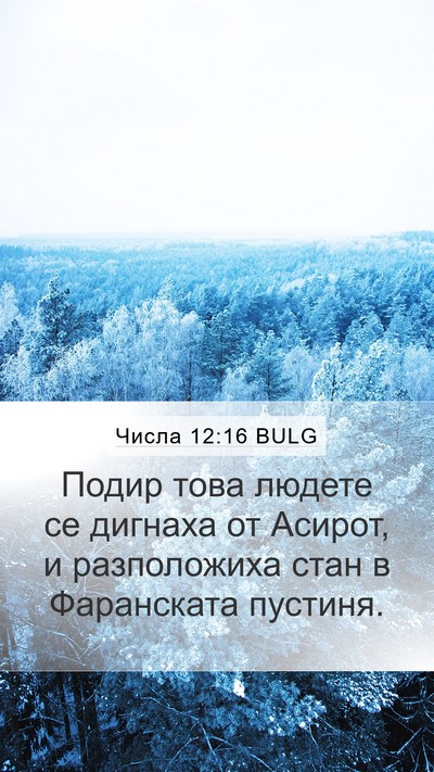 Числа 12:16 BULG Bible Verse Image