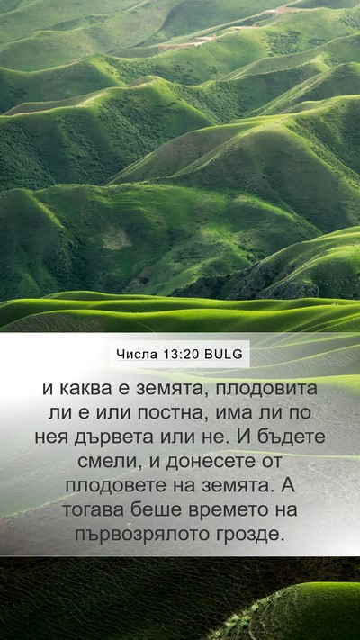Числа 13:20 BULG Mobile Phone Wallpaper - и каква е земята, плодовита - Mobile Bible Verse Wallpaper