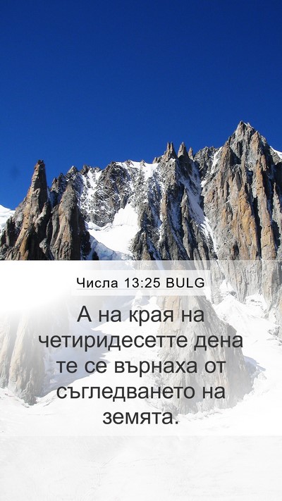 Числа 13:25 BULG Bible Verse Image