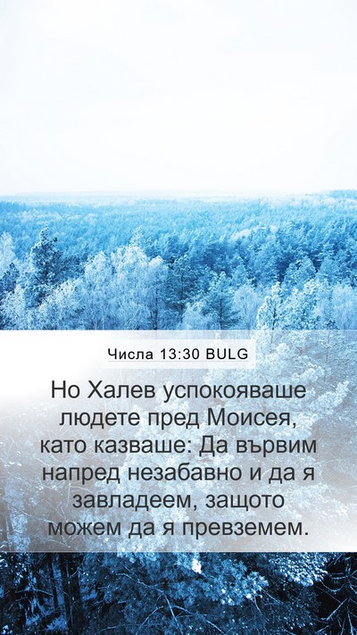 Числа 13:30 BULG Bible Verse Image