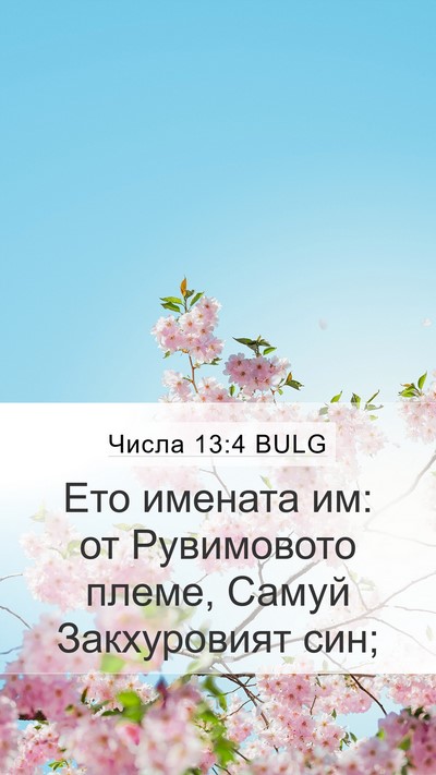 Числа 13:4 BULG Mobile Phone Wallpaper - Ето имената им: от - Mobile Bible Verse Wallpaper