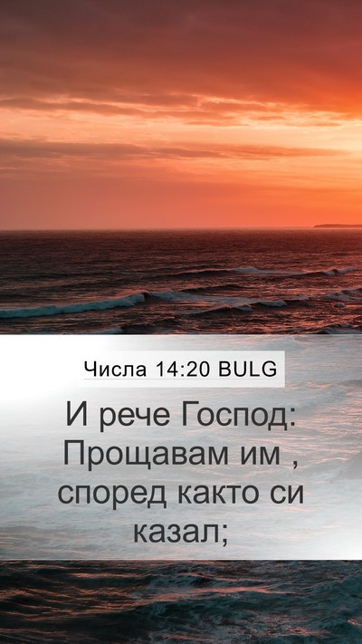 Числа 14:20 BULG Mobile Phone Wallpaper - И рече Господ: Прощавам им , - Mobile Bible Verse Wallpaper