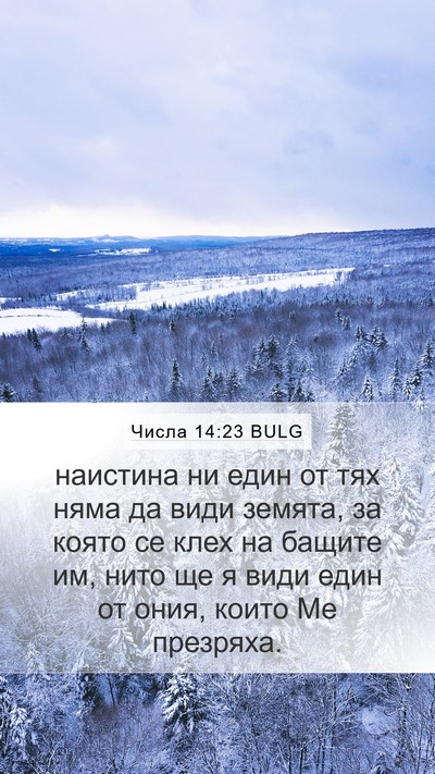 Числа 14:23 BULG Bible Verse Image