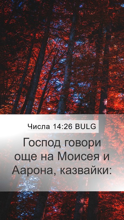 Числа 14:26 BULG Mobile Phone Wallpaper - Господ говори още на - Mobile Bible Verse Wallpaper