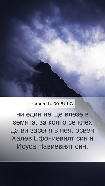 Числа 14:30 BULG Bible Verse Image