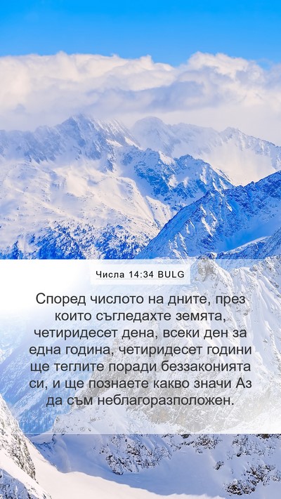 Числа 14:34 BULG Bible Verse Image