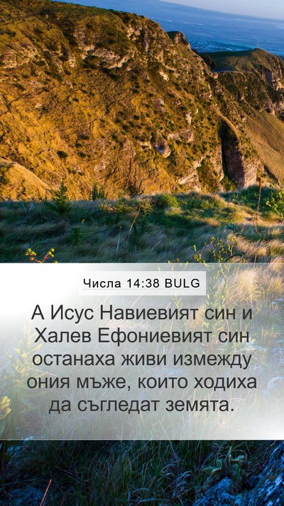Числа 14:38 BULG Bible Verse Image