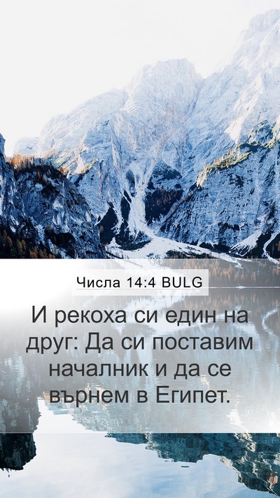 Числа 14:4 BULG Mobile Phone Wallpaper - И рекоха си един на друг: Да - Mobile Bible Verse Wallpaper
