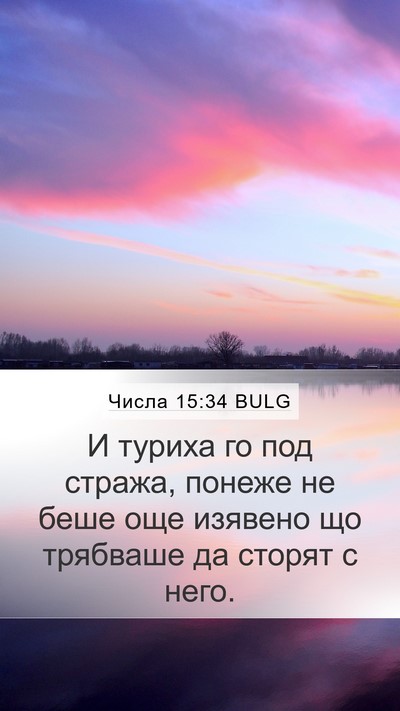 Числа 15:34 BULG Mobile Phone Wallpaper - И туриха го под стража, - Mobile Bible Verse Wallpaper