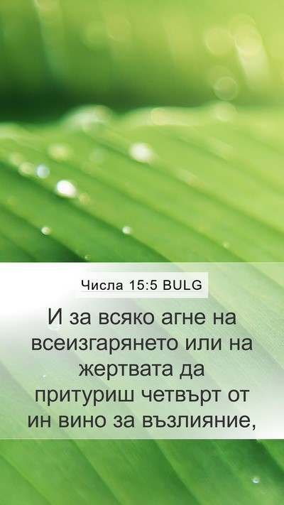 Числа 15:5 BULG Bible Verse Image
