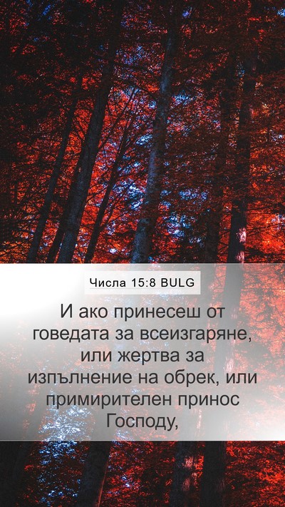 Числа 15:8 BULG Mobile Phone Wallpaper - И ако принесеш от говедата - Mobile Bible Verse Wallpaper