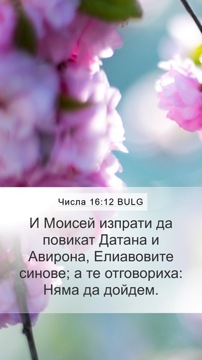 Числа 16:12 BULG Mobile Phone Wallpaper - И Моисей изпрати да - Mobile Bible Verse Wallpaper