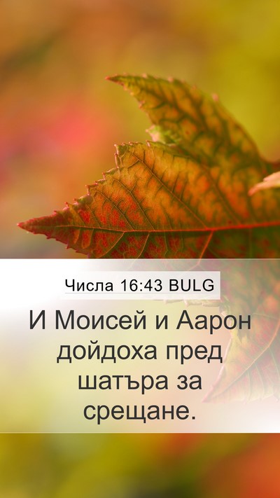 Числа 16:43 BULG Mobile Phone Wallpaper - И Моисей и Аарон дойдоха - Mobile Bible Verse Wallpaper