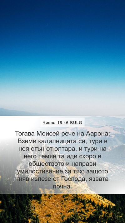 Числа 16:46 BULG Bible Verse Image