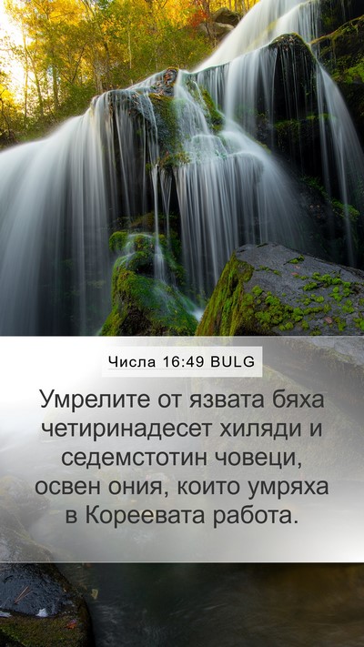 Числа 16:49 BULG Bible Verse Image