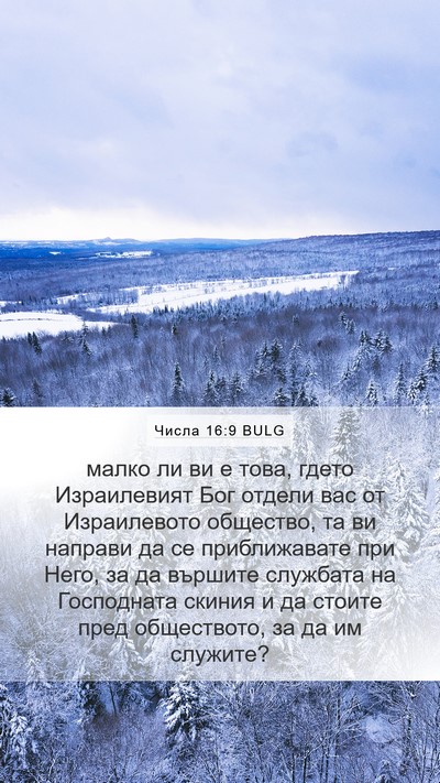 Числа 16:9 BULG Bible Verse Image