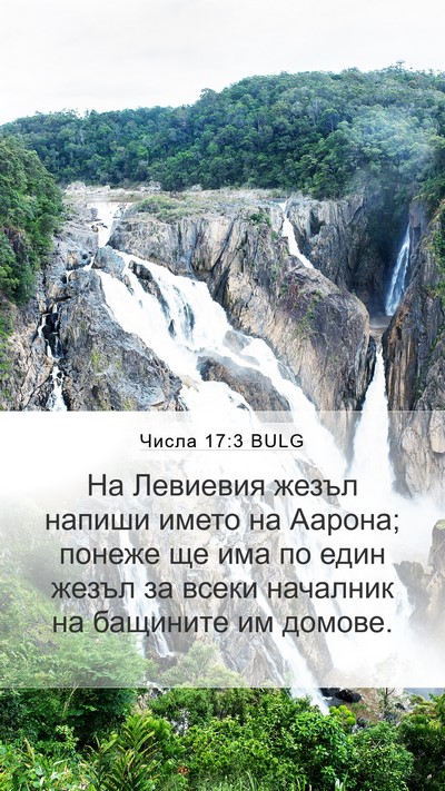 Числа 17:3 BULG Bible Verse Image
