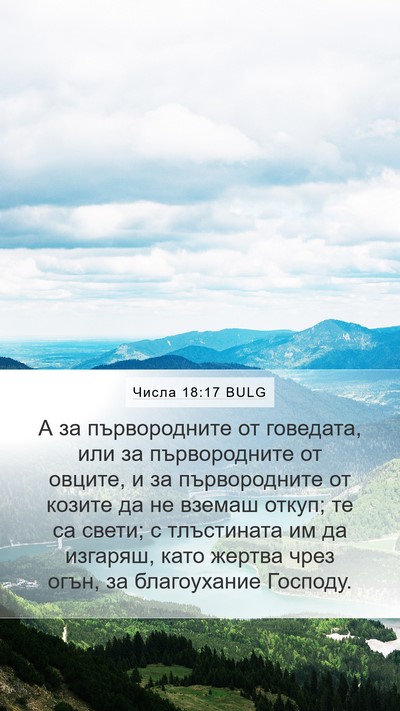 Числа 18:17 BULG Bible Verse Image