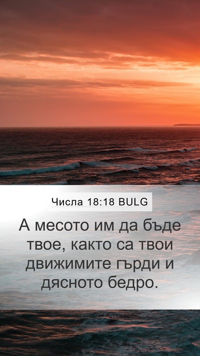 Числа 18:18 BULG Bible Verse Image