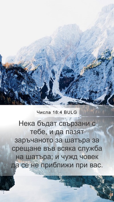 Числа 18:4 BULG Bible Verse Image