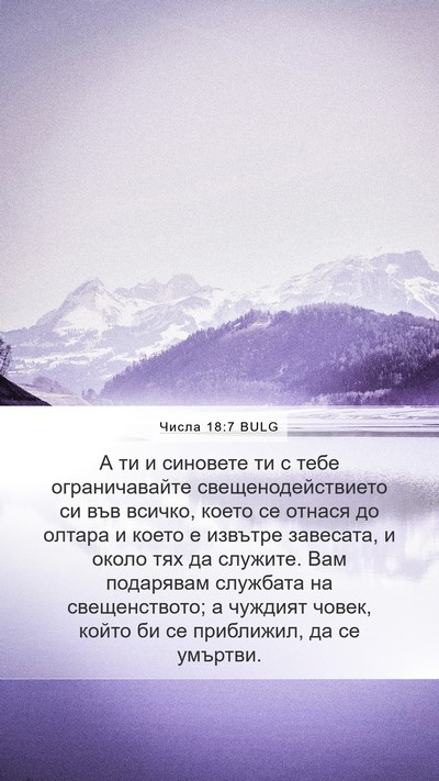 Числа 18:7 BULG Bible Verse Image