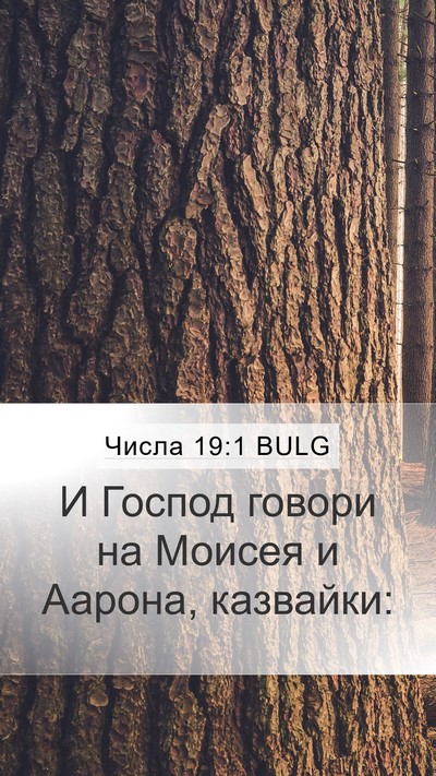 Числа 19:1 BULG Mobile Phone Wallpaper - И Господ говори на Моисея и - Mobile Bible Verse Wallpaper
