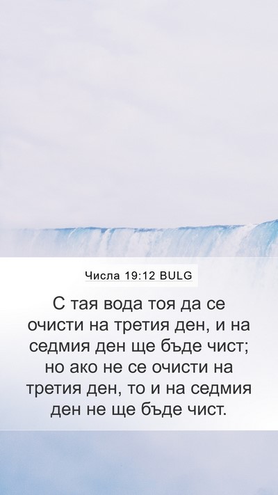 Числа 19:12 BULG Bible Verse Image