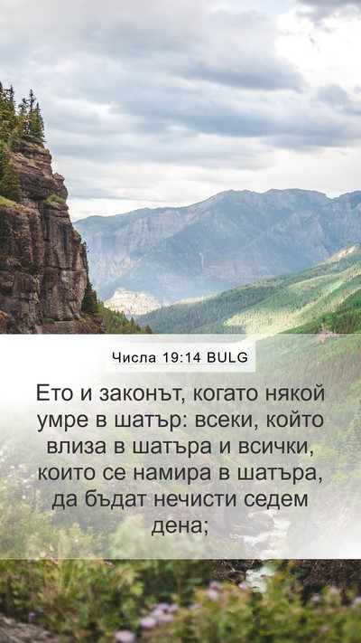 Числа 19:14 BULG Bible Verse Image