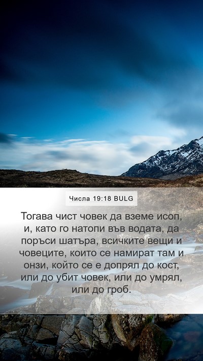 Числа 19:18 BULG Bible Verse Image