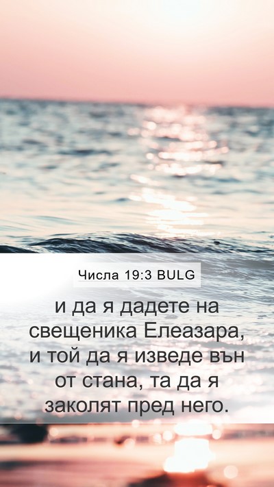 Числа 19:3 BULG Mobile Phone Wallpaper - и да я дадете на свещеника - Mobile Bible Verse Wallpaper