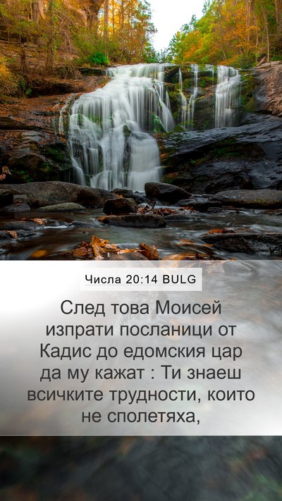 Числа 20:14 BULG Bible Verse Image