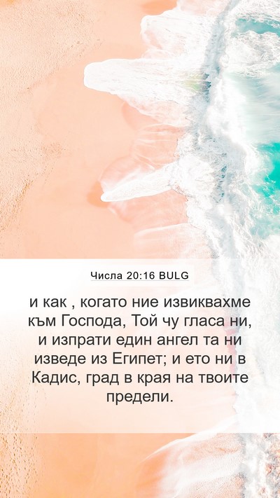 Числа 20:16 BULG Bible Verse Image