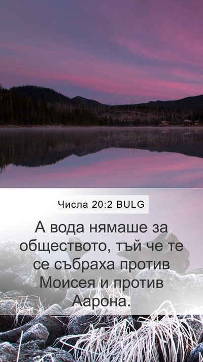 Числа 20:2 BULG Bible Verse Image