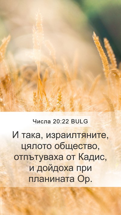 Числа 20:22 BULG Bible Verse Image