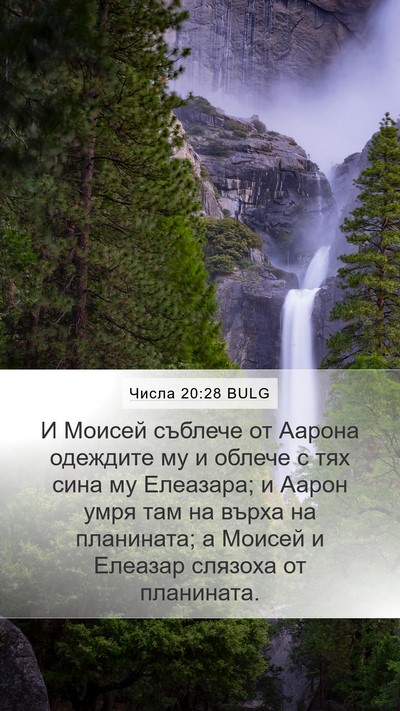 Числа 20:28 BULG Mobile Phone Wallpaper - И Моисей съблече от Аарона - Mobile Bible Verse Wallpaper