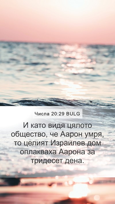 Числа 20:29 BULG Bible Verse Image