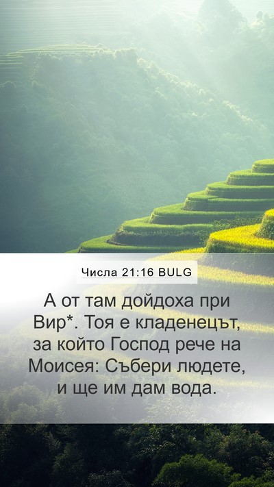 Числа 21:16 BULG Bible Verse Image