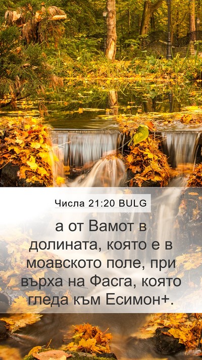 Числа 21:20 BULG Bible Verse Image