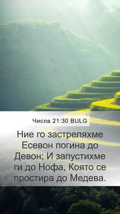 Числа 21:30 BULG Bible Verse Image