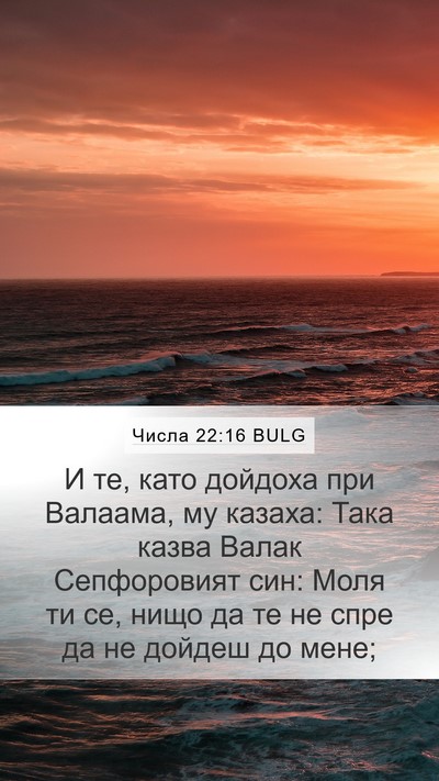 Числа 22:16 BULG Mobile Phone Wallpaper - И те, като дойдоха при - Mobile Bible Verse Wallpaper