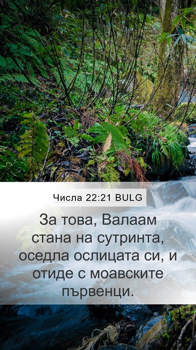 Числа 22:21 BULG Bible Verse Image