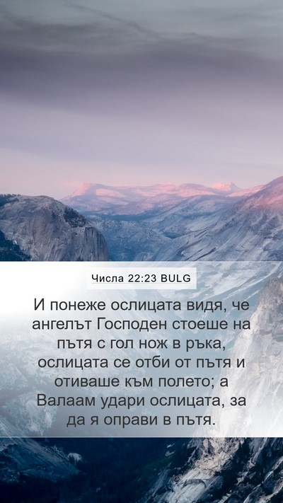 Числа 22:23 BULG Bible Verse Image