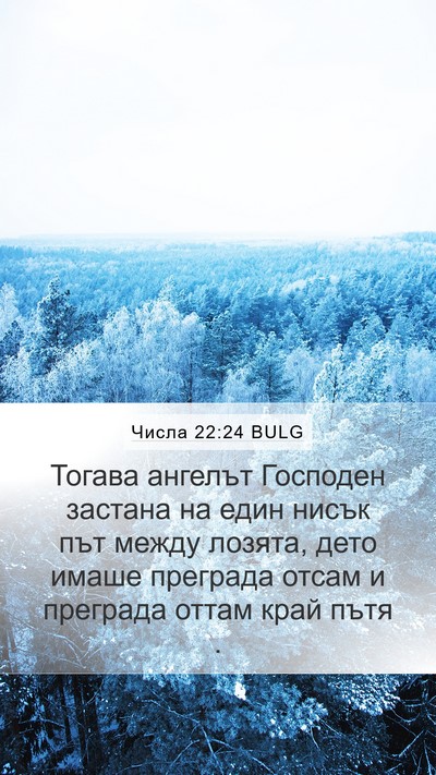 Числа 22:24 BULG Mobile Phone Wallpaper - Тогава ангелът Господен - Mobile Bible Verse Wallpaper